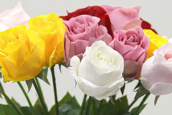 Best Real Touch Roses for Commercial Event Installations
